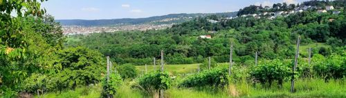 durchs Glemstal zum  Engelbergturm