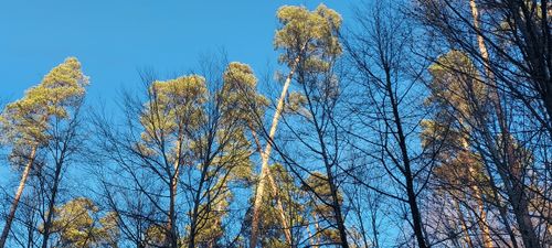 Rössle Weg für mich die schönste Etappe