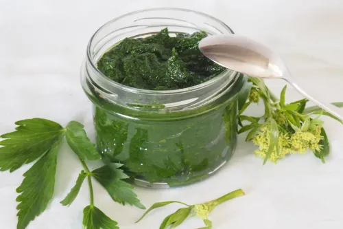 Liebstöckl (Maggikraut) Paste und Gemüsewürze selber machen