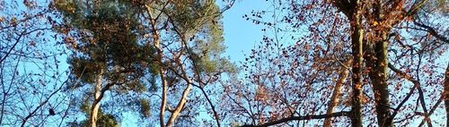 🌞🌱Frühling🌱 in Town ☀️ TEIL 1 👟👟 STADTWANDERN🍷🍽