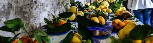 Giardini d'Agrumi in Gargnano (Lago di Garda) - X Edizione 18-19 aprile