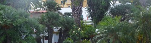 Sommertheater im Engl. Garten, Amphitheater