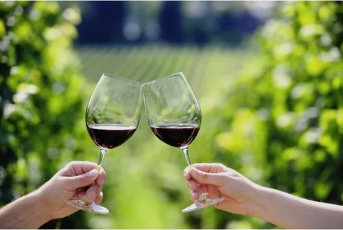 Esslinger Weinwandertag 2026