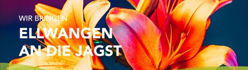 Landesgartenschau Ellwangen -Ellwangen blüht auf