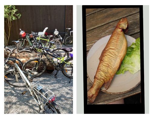 Fahrradtour ohne Motor 3.3...back to the Roots 