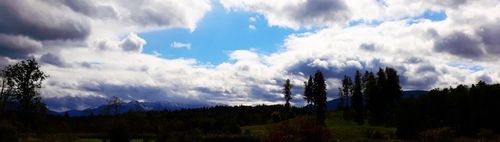 DURCHS STAFFELSEEMOOR MIT ALPENPANORAMA : VON BAD KOHLGRUB NACH UFFING 