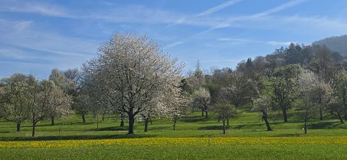 EBike Tour am Gäurand 