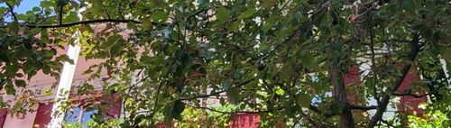 Mittagessen im Biergarten Rauch Grucking