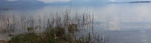 Relaxen/ Picknick am Kronthaler Weiher Erding