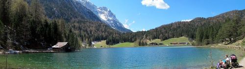 Grünkopf
