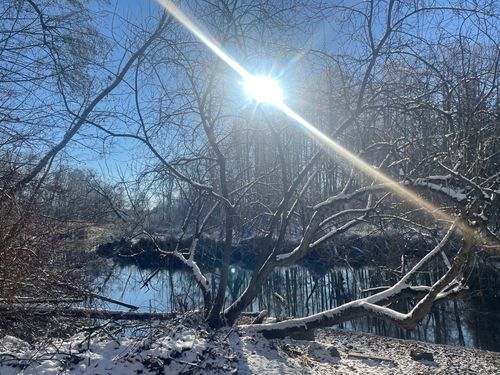 Natur—und Kunstgenuss