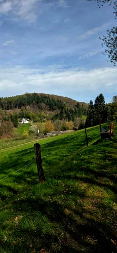 Gemütliche Wanderung mit Aussicht (12 km)