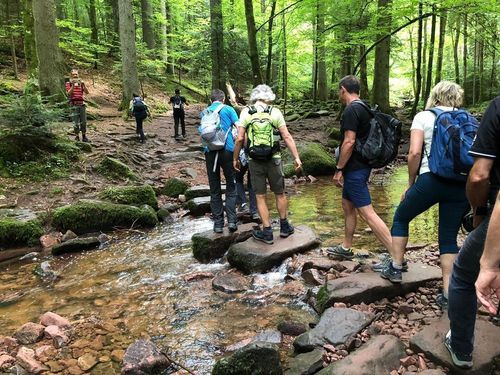 MONBACHTAL - DAS Kleinod im NORDSCHWARZWALD  