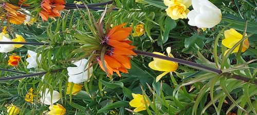 Im schönen Stuttgarter Wald mit Aussicht und Tieren