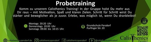 Calisthenics Probetraining