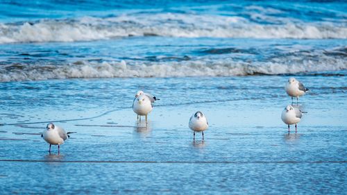 1 schöner Tag an der Ostsee