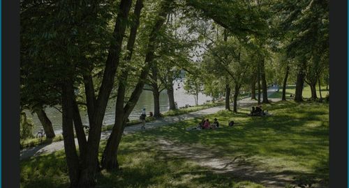 Insel-Rundweg Mierendorffinsel und CapRivi Biergarten