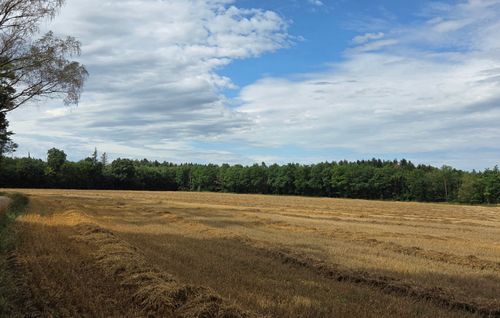 Sportlich flotte Gehrunde ab Waldtrudering-Keferloh-Solalinden und zurück