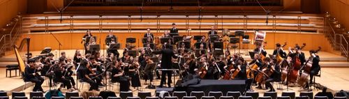 Sinfoniekonzerte des Münchner Schulmusik Orchester (MSO)