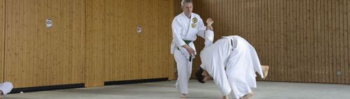 Aikido - Schnupperkurs für Anfänger