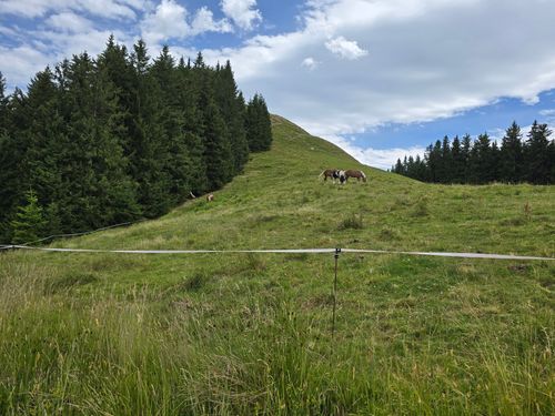 Wanderung auf den Kolbensattel