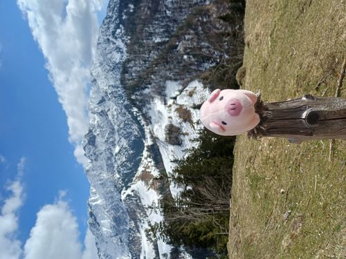 Brentenjoch und Gamskogel