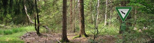 (Hunde-) Runde zum Jexhof