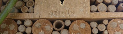 Biene Majas wilde Schwestern