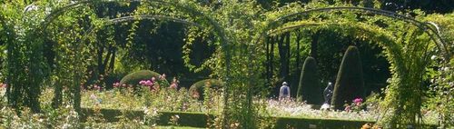 🌳🚶🚶👫🚶 👬🚶🌳 vor dem Stammtisch 🌳 SPAZIERGANG Teltowkanal (Bäkepark/Stadtpark Stegl.)🌳 🌳🌳