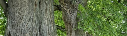 Radtour zur Schlossgastätte Falkenberg danach Kaffee und Eis Kirchseeon