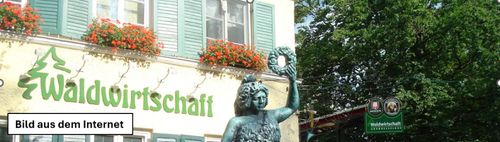 Leichte Wanderung zur Waldwirtschaft