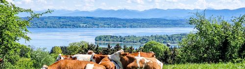 Von Tutzing über die Ilkahöhe und Monatshausen zurück