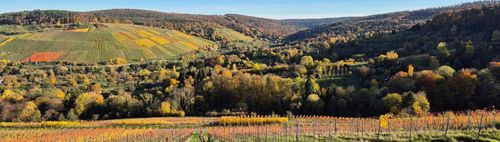 Wanderung von Fellbach nach Burgruine Y-burg (Kernen-Stetten)