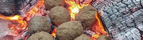 Bio Kartoffel selber klauben ...mit Kartoffelfeuer am Schluss  ..Hinfahrt MVV oder Radl
