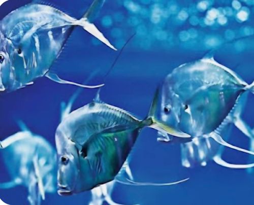 Besuch des Aquariums Berlin
