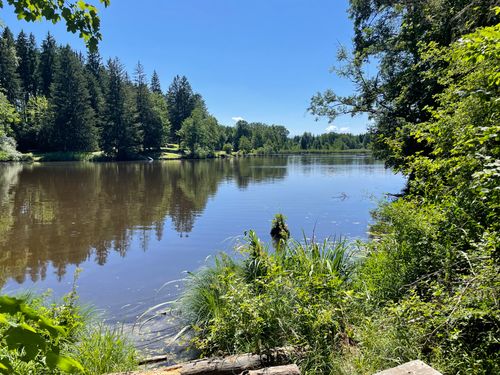 Ebike Tour rund um den Starnberger See🚴‍♂️😎🚴‍♀️