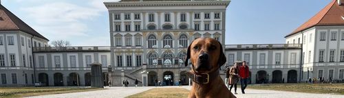 (Hunde-) Runde in Nymphenburg