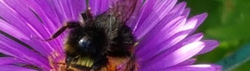 Radtour zum Mühlen Park Garching 