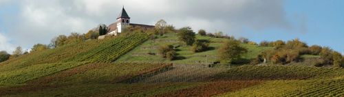 Michaelisberg und Erligheimer kirschgärten