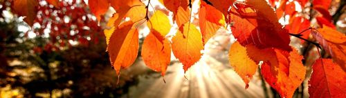 Herbstspaziergang